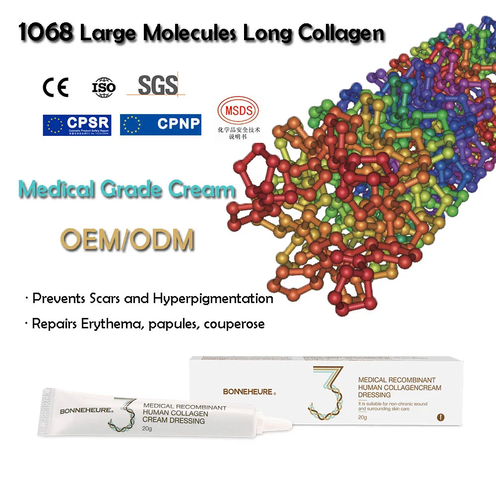 Medical Skincare Anti Acne Repair Facial Dermatitis and Barrier Damage Recombinant Humanized Type III Collagen Cream