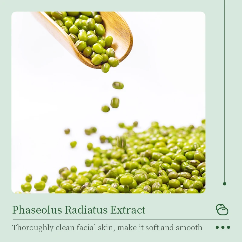 OEM BIOAQUA Mung Bean Amino Acid PH Balancing Herbal Natural Skin Care Face Wash Facial Cleanser Skin Care Set