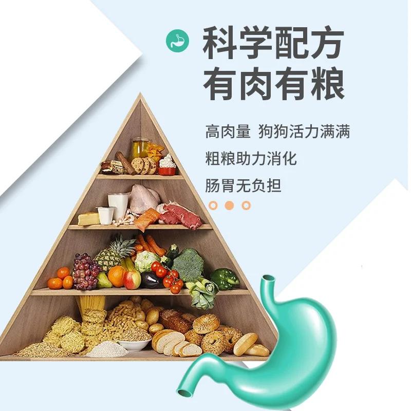 Wholesale OEM 20kg Dog staple food golden hair Samoye hasic Labrador special dog food