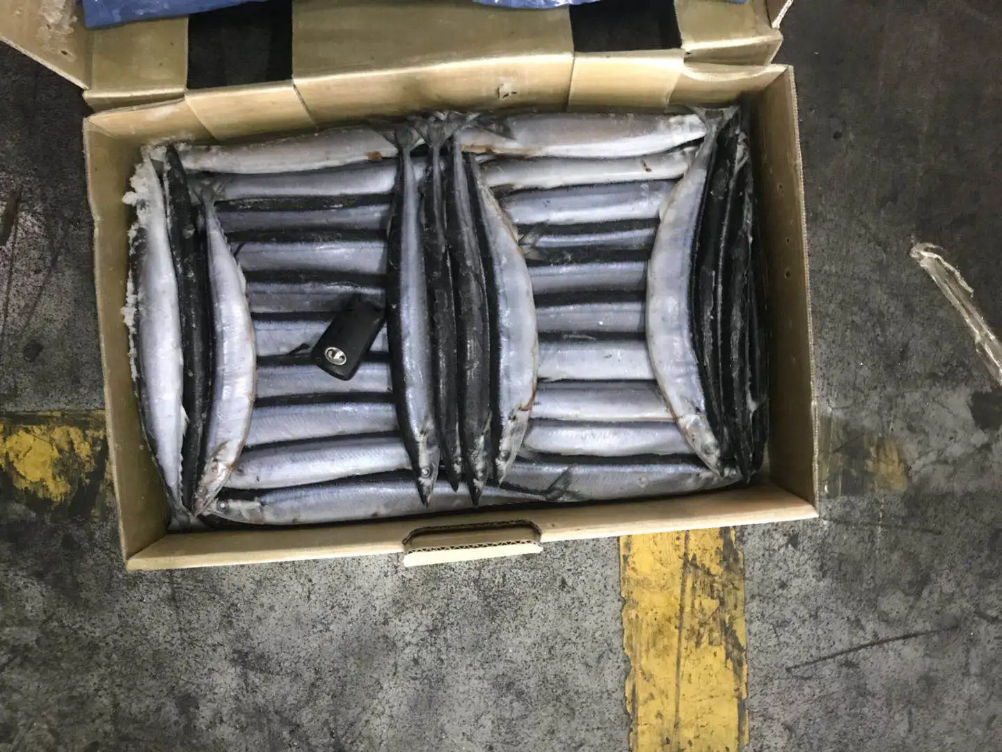 
Wholesale Cheap Seafood Fish Frozen Pacific Saury 