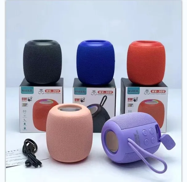 2022 New Portable Outdoor Speaker WS-309 Wireless BT USB TF Aux Outdoor Pod Speaker