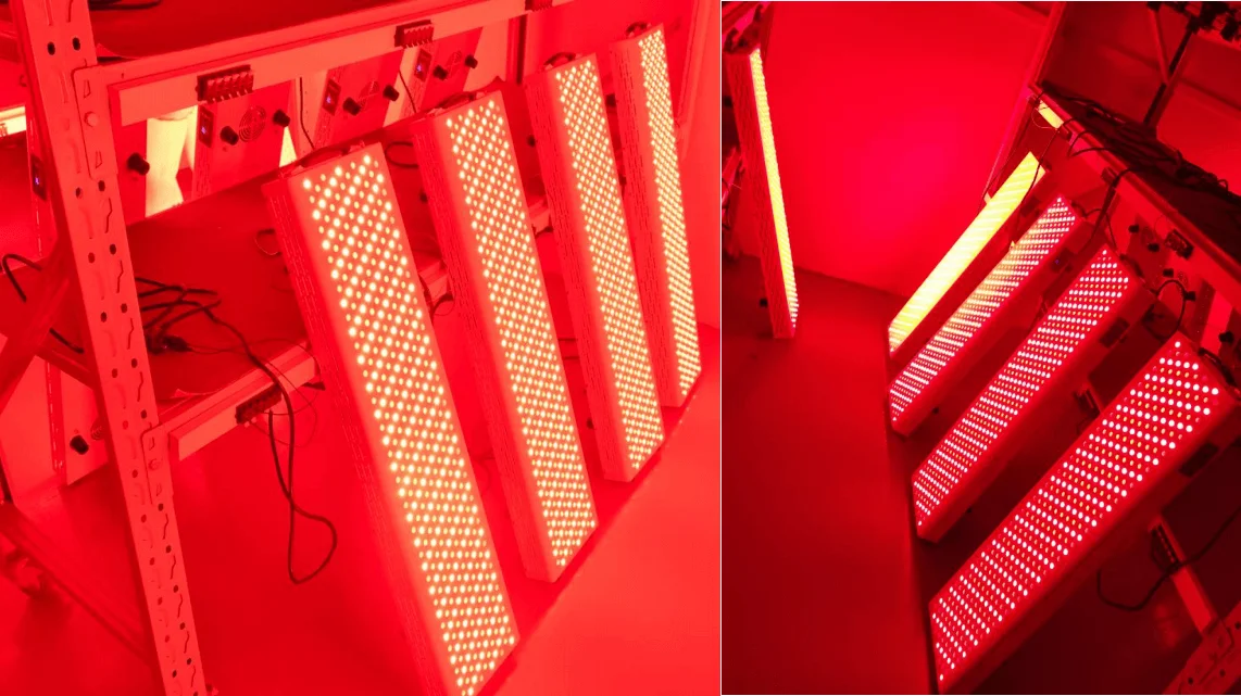 red light panel 1 (2).png