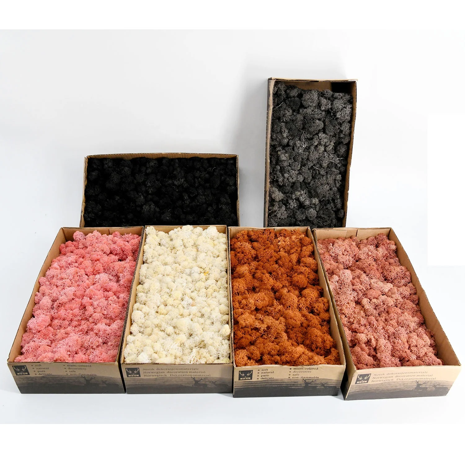 konserviertes moos muschio stabilizzante natural preservado musgo moss