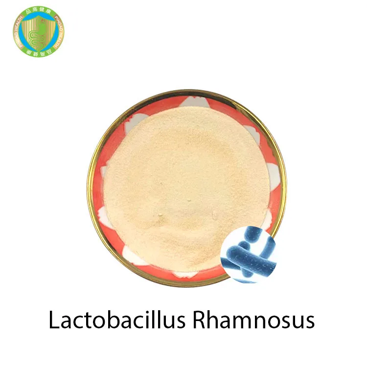 Best Quality Wholesale China Suppliers10billion CFU/g Food Grade Probiotic Powder Lactobacillus Rhamnosus