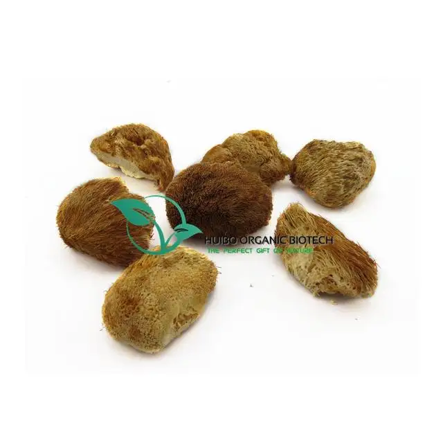 Organic shiitake mushroom /dried  Lentinus edodes whole / slices NOP EU standard