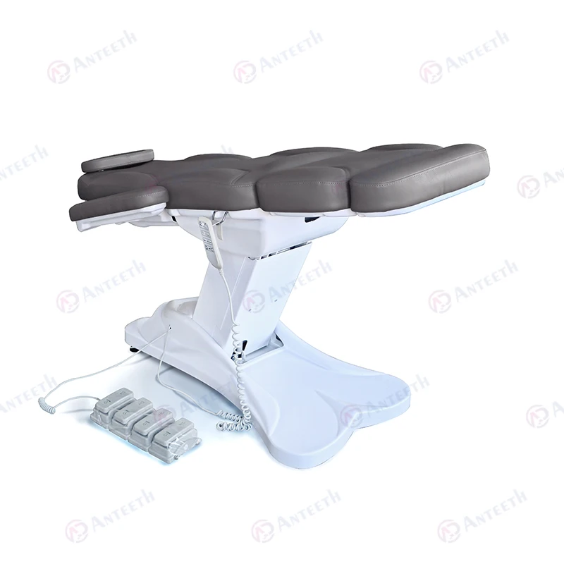 Anteeth Economy Model Electric Spa Aesthetic Treatment Facial Electric Beauty Chair Bed