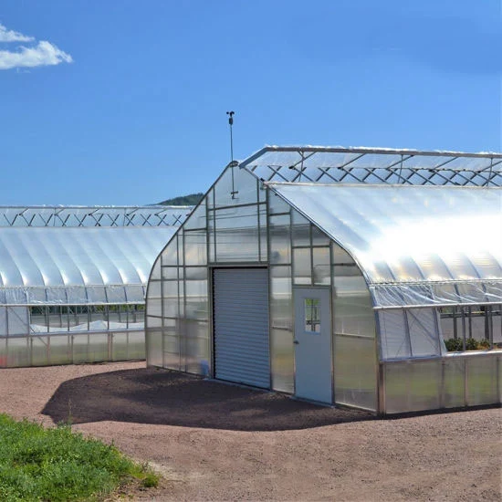 Tunnel Plastic Greenhouse Film Agriculture fog resistant greenhouse film with high quality