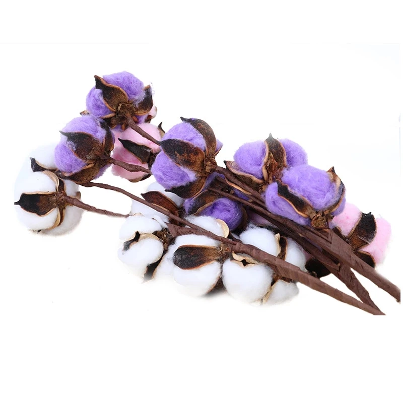 
Yunnan Hot Selling High Quality Dried Flowers Nature Dry Cotton Flower For Home Decoration 