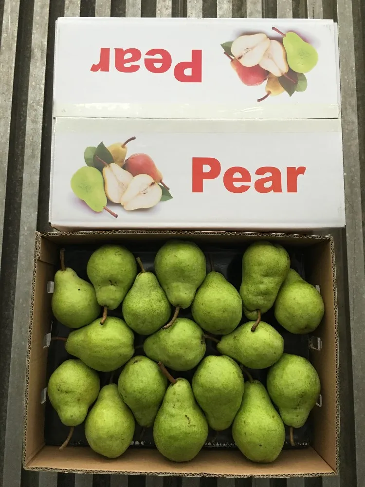 Fresh pear fresh fruit Ya Pear Asia Pear
