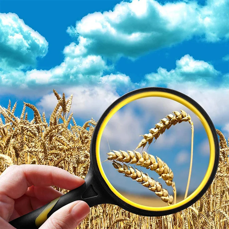 Reading Jewelry Loupe 3 LED Light Magnifying Glass Led Magnifying Glass Jewelry Loupe Pocket Led Microscope