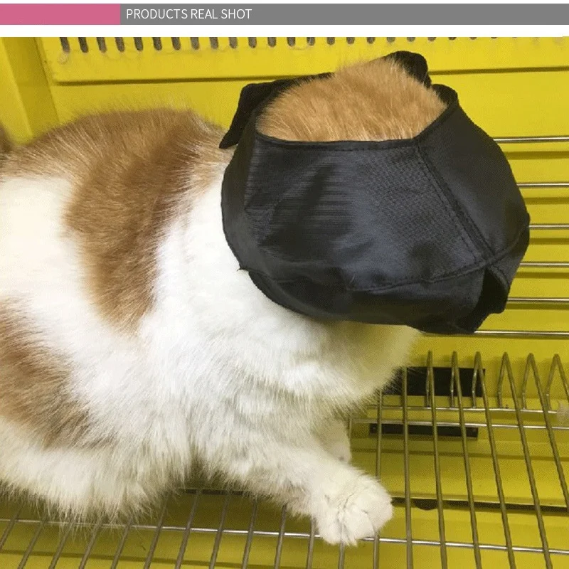 Cat eye mask cat bath cleaning nail  surgery soothing mood eye mask spot M
