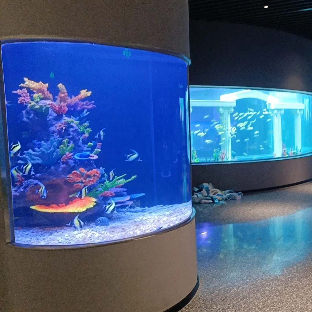 2023 Подгонянный ясный Большой акриловый аквариум для продажи