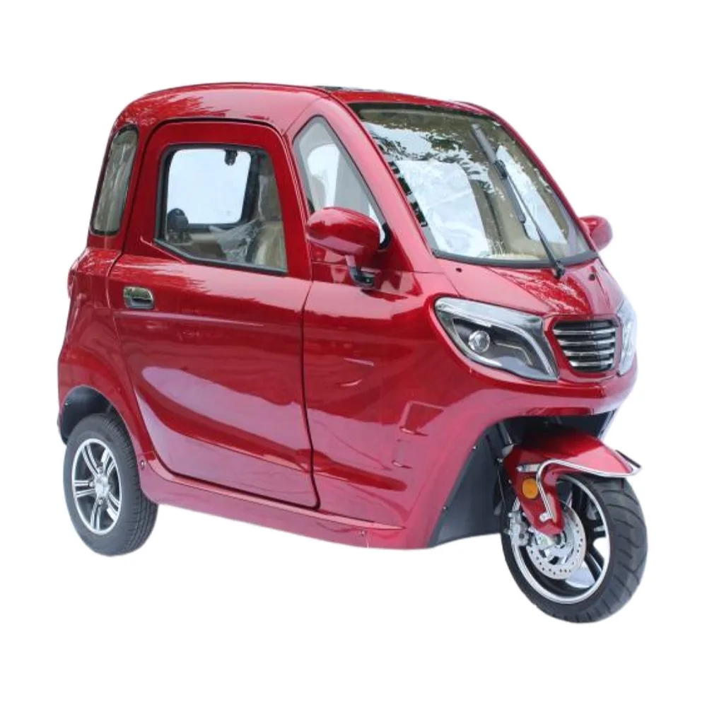 Tribike Kit Per Adults 1200w 3 Wheel Eletricotriciclos Trikes Electric Tricycles For Adult with disabled