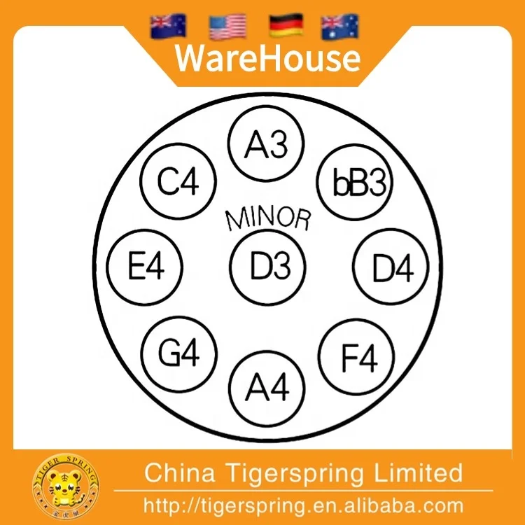 22 inch 9 notes Steel Hand pan Golden Eyes Handmade Nitriding Treatment Hand Drum for Beginners Customized