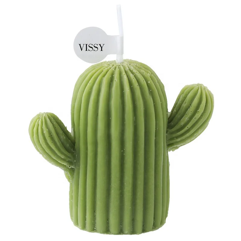 Handmade aromatherapy candle gift decoration ins photo props soy wax diy creative cactus candle