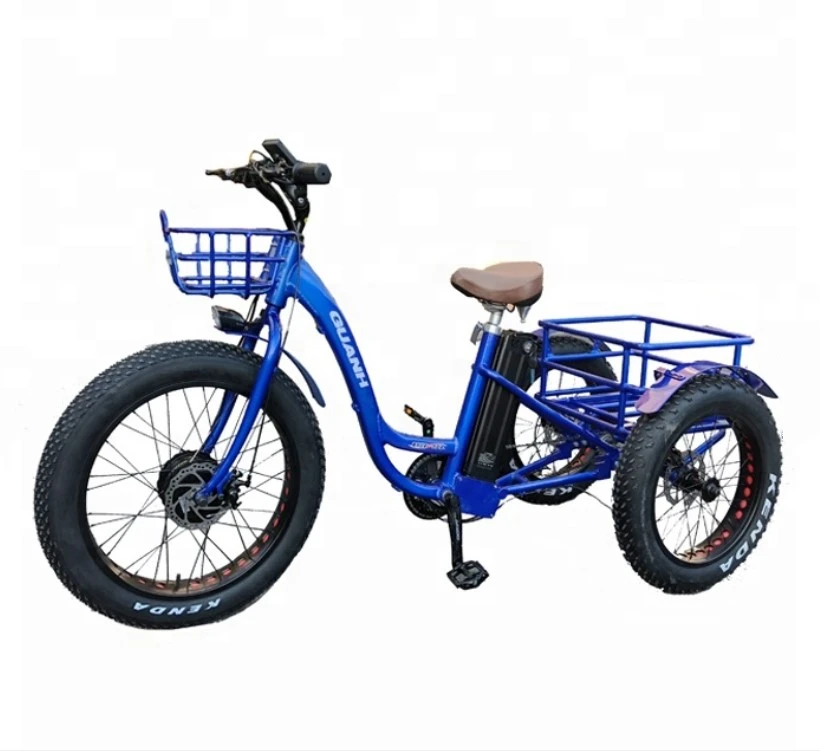 750W China cheap cargo adult 3 wheel electric tricycle