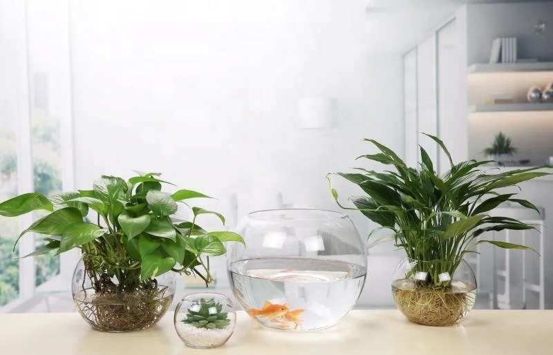 Нежный стеклянный террариум для миниатюрных фигурок «сделай сам» микроландшафтные украшения растений украшение сада/помещения/дома сказочный сад