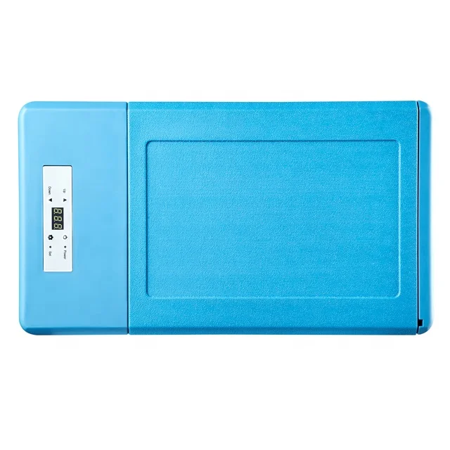 Горячая Распродажа портативный автомобильный Морозильный компрессор 12 В постоянного тока мини-автомобильный холодильник