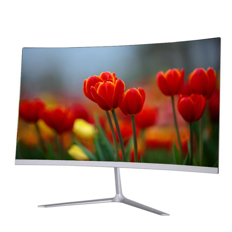 24inch PC Monitor (25)