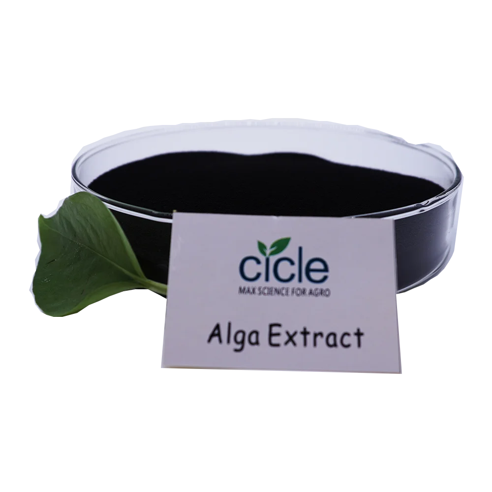 Alga 50 seaweed extract supplier organic fertilizer seaweed extract soluble high quality