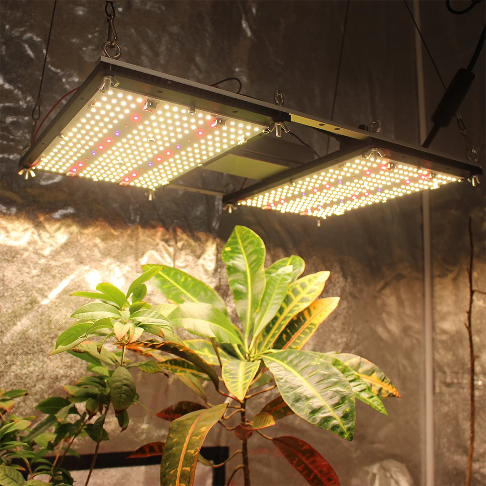 Figolite оригинальный LM301h LED V5 доска 240 Вт светодиодное освещение для выращивания с creexpe 660nm 730nm LG УФ 395nm переключатель