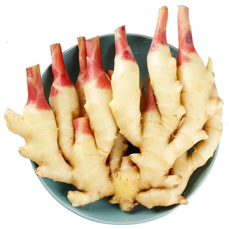 
wholesale new crop Low Price Native Organic yellow Dry Ginger Fresh Ginger in bulk 