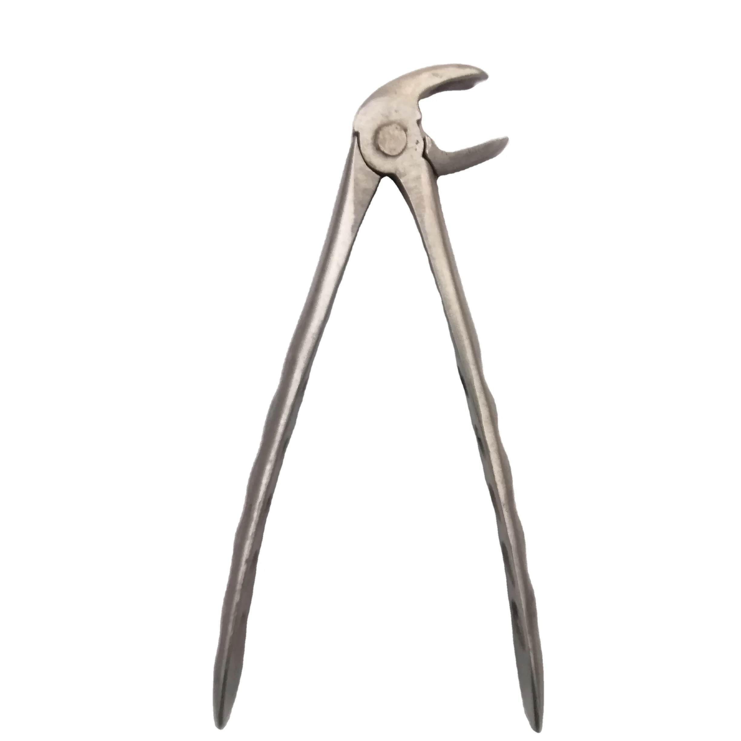 
China Dental Extracting English Forceps 44 UPPER ROOT 