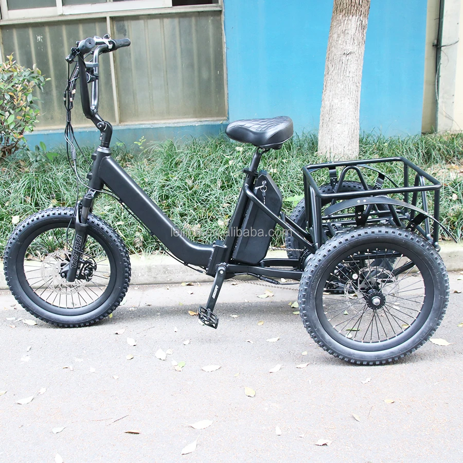 OEM Fast 1000W 48V Lithium Battery Family Hub Motor Ebike 3 Wheel Electric Cargo Bike Tricycle City Bicycle