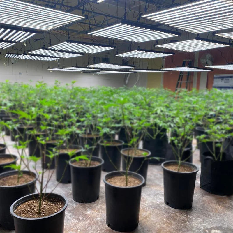 Luxint New Designed 8*8ft Full Spectrum 1000W Led Grow Light Bar dimmable Lm301h Lm301b good for gelato 45 medical plants