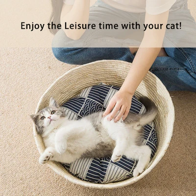 High Quality Modern Soft And Warm Comfortable Cute Unique Luxury Pet Bed For Cat