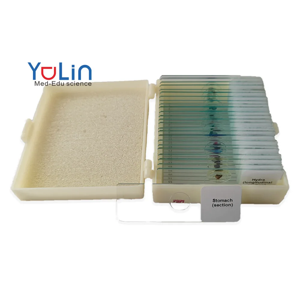 50 pcs microscope Prepared Slides Parasitology Teaching Slides Animal Parasitology slides Mixed Specimen with ISO certification