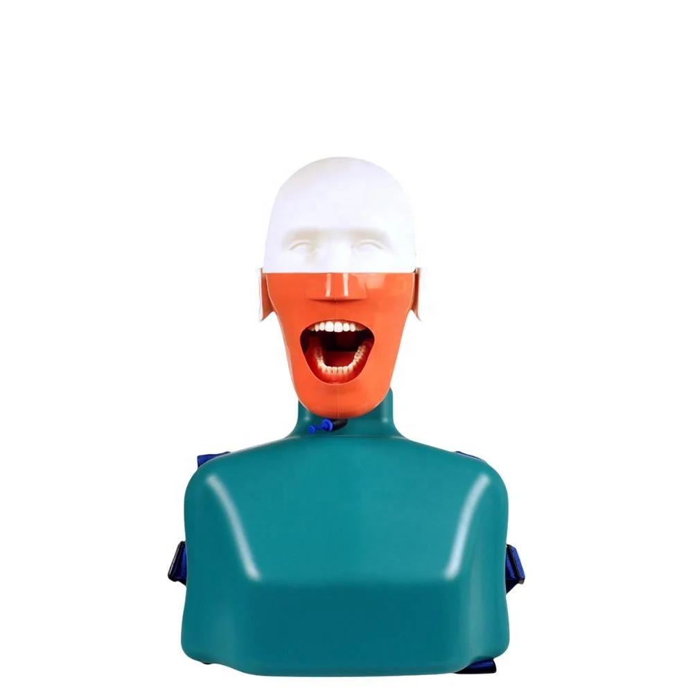 Медицинский стоматологический симулятор манекен фантомная голова Стоматологическая модель фантомной головы для обучения