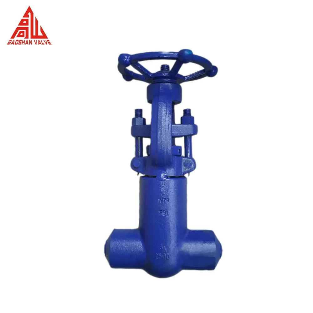 Gate Valve Forged Thread Butt Socket Welding Flange 1 Inch Class 800 Gate Valve