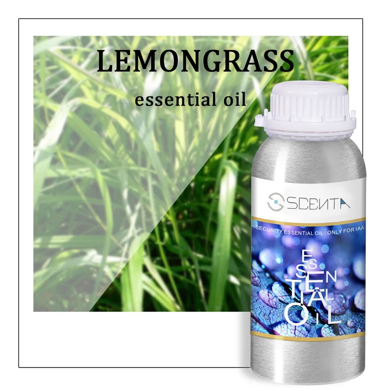 SCENTA Wholesale Fragrance Oils In Bulk Manufacturer Hotel Scent Natural Fruity Lemon Lemongrass 100% Aroma Essential Oil