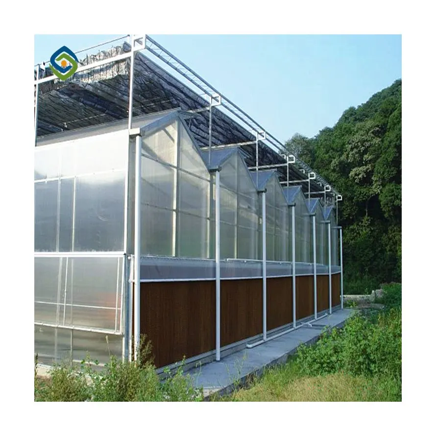 Industrial-greenhouse polycarbonate commercial greenhouse manufacturers china