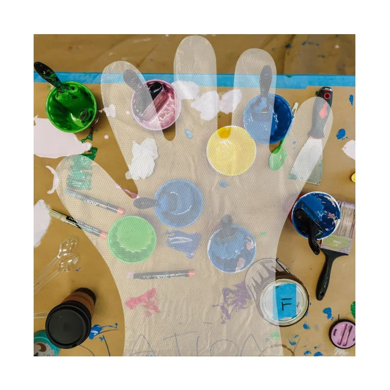 China High Quality 100pcs easy work polyethylene disposable glove powder free for Barber Beauty Salon