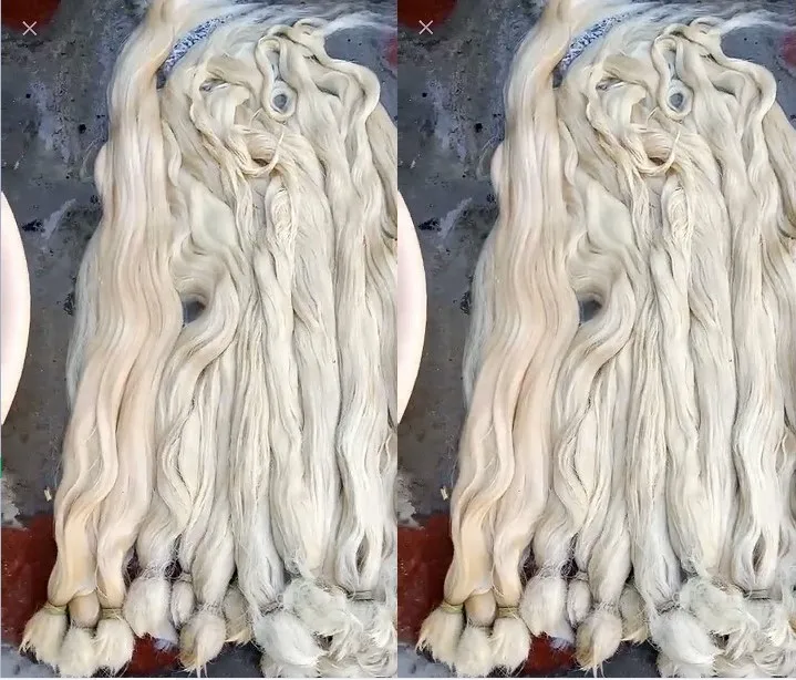 One head euro hair virgin blonde bulk hair,,russian hair european hair one donor raw hair