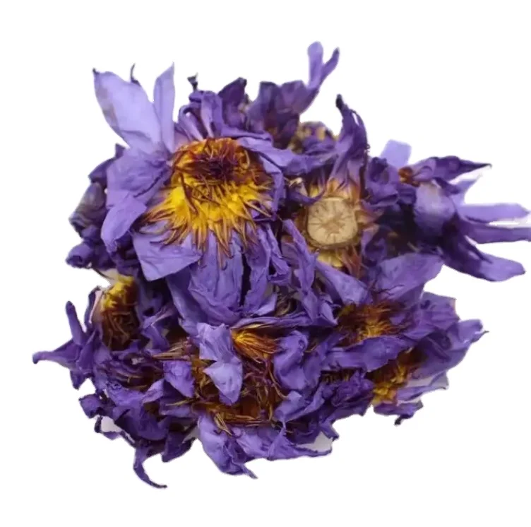 Premium Dried Blue Lotus Flower Tea in Stock Lan Lian Hua Flowers Herbal Wholesale