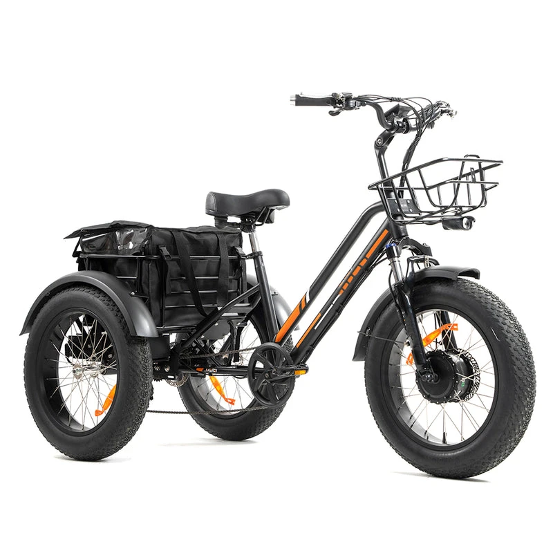 20 Inch Fat Tire 48V 750w Electric Tricycle with Basket Steel  Cargo E Bicycle Hybrid Bike