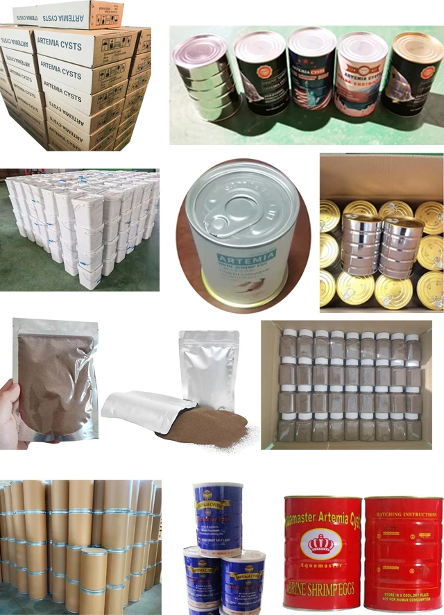 factory price Artemia Cysts brine shrimp eggs wholesale salt lake kind