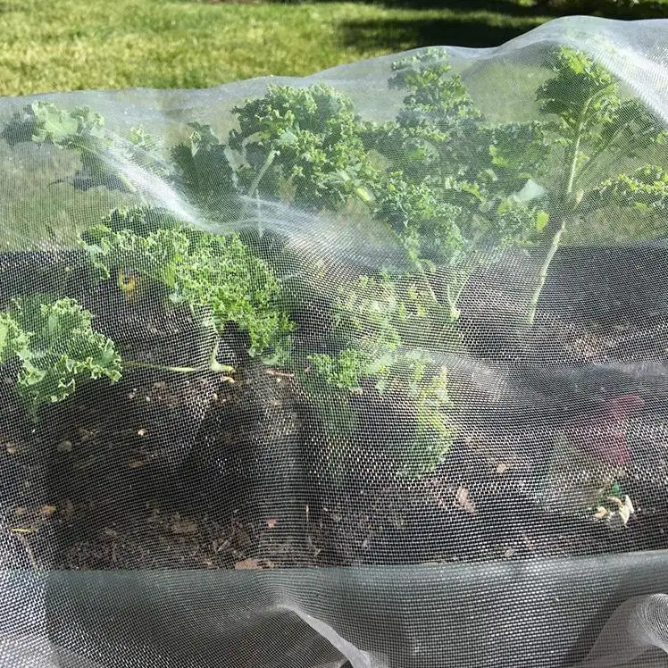 Anti insect netting Anti Hail Net with 100% New HDPE