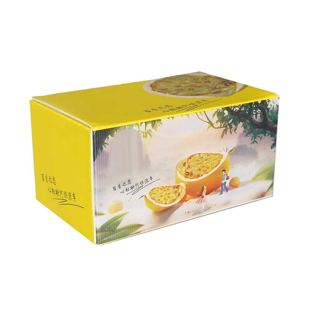 Various types of low price corrugated plastic sheet pp honeycomb board honeycomb collapsible box