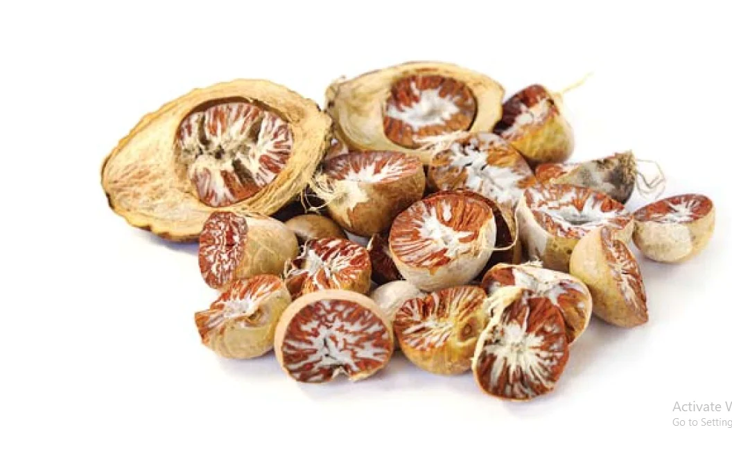 Areca Nut 2023 Ready For Export Great Quality Betel Nuts SIZE 70/75 Best Price Wholesale Price Indonesia Betel Nuts