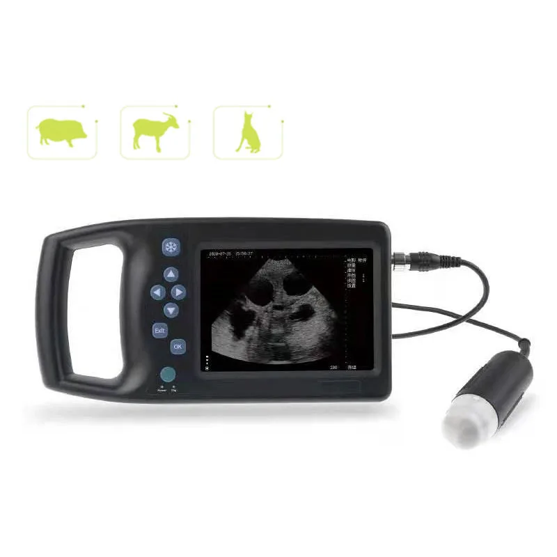 Factory cheap pig sheep dog ultrasonic full digital portable scanner veterinary detection equipment