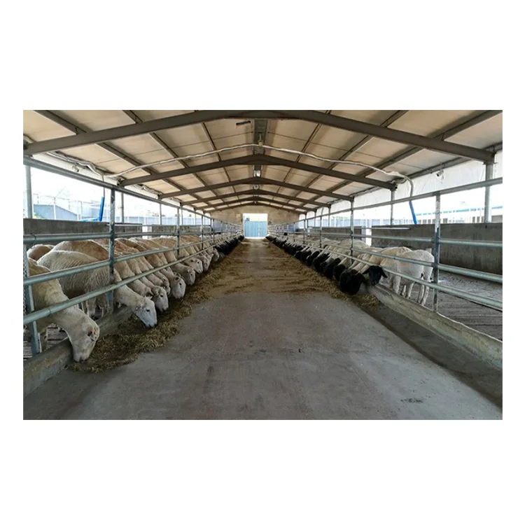 modern farm design goat and sheep farming house detachable steel structure shed