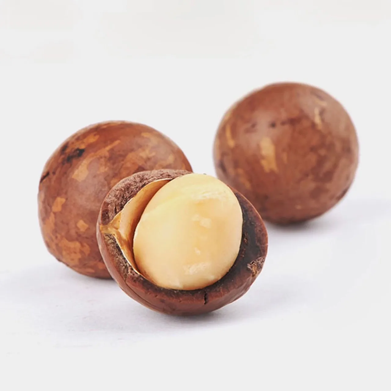 
NEWEST CTOP MACADAMIA NUT VIETNAM ORIGIN 