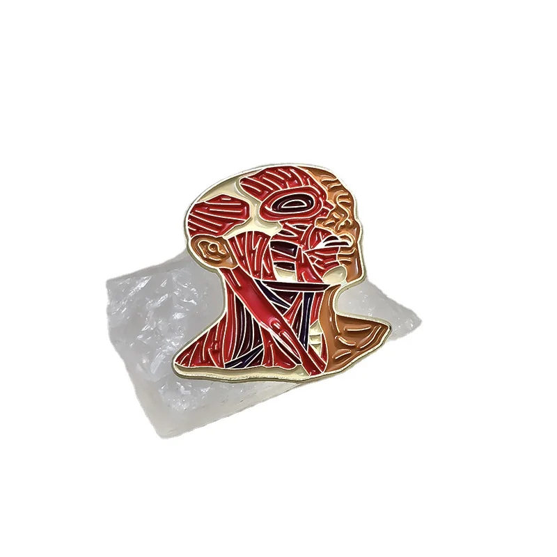 Viscera Uterus Enamel Pins Custom Heart Brain Lung Rib Cage Brooches Lapel Badges Organ Jewelry Gift for  Students Friend