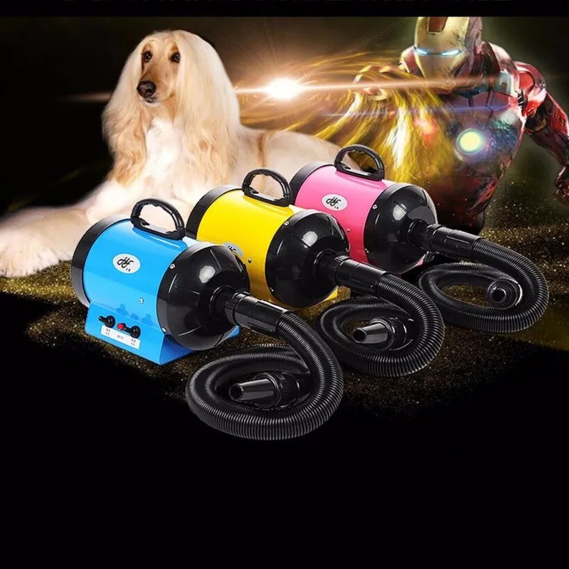 2020 Top Seller Pet Water Blowing High Power and Low noise Hair Dryers for Dogs