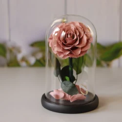 Preserved Rose Red Rose in Glass Dome Real Roses Preserved Flowers Valentines Day Gifts long lasting in flower box
