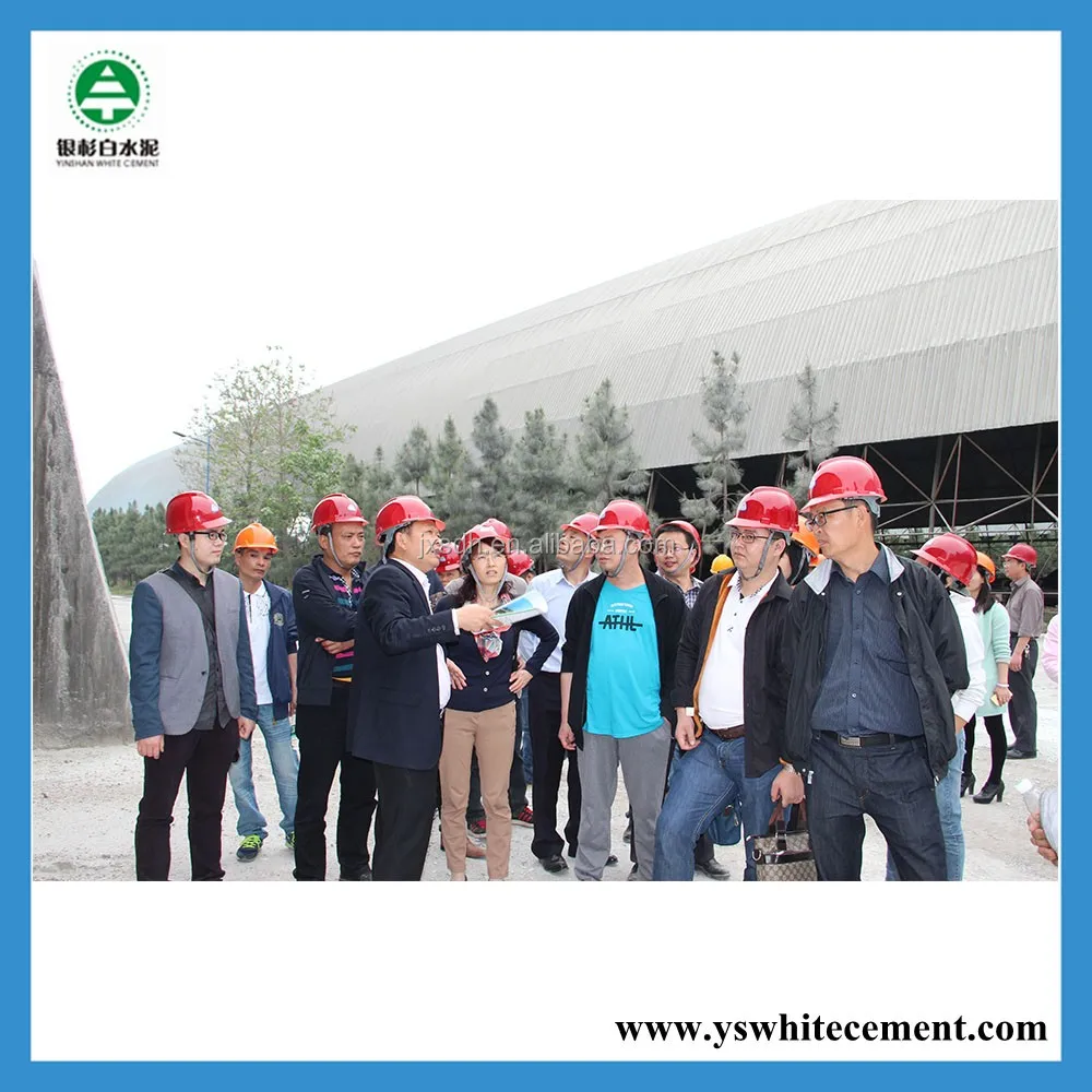 China manufacturer 89 Whiteness silicate cement for sculpture and putty white cement